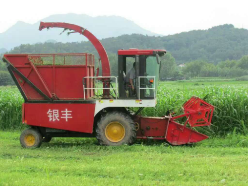 自走式青儲機(jī)你選對了嗎？銀豐青儲機(jī)好品質(zhì)